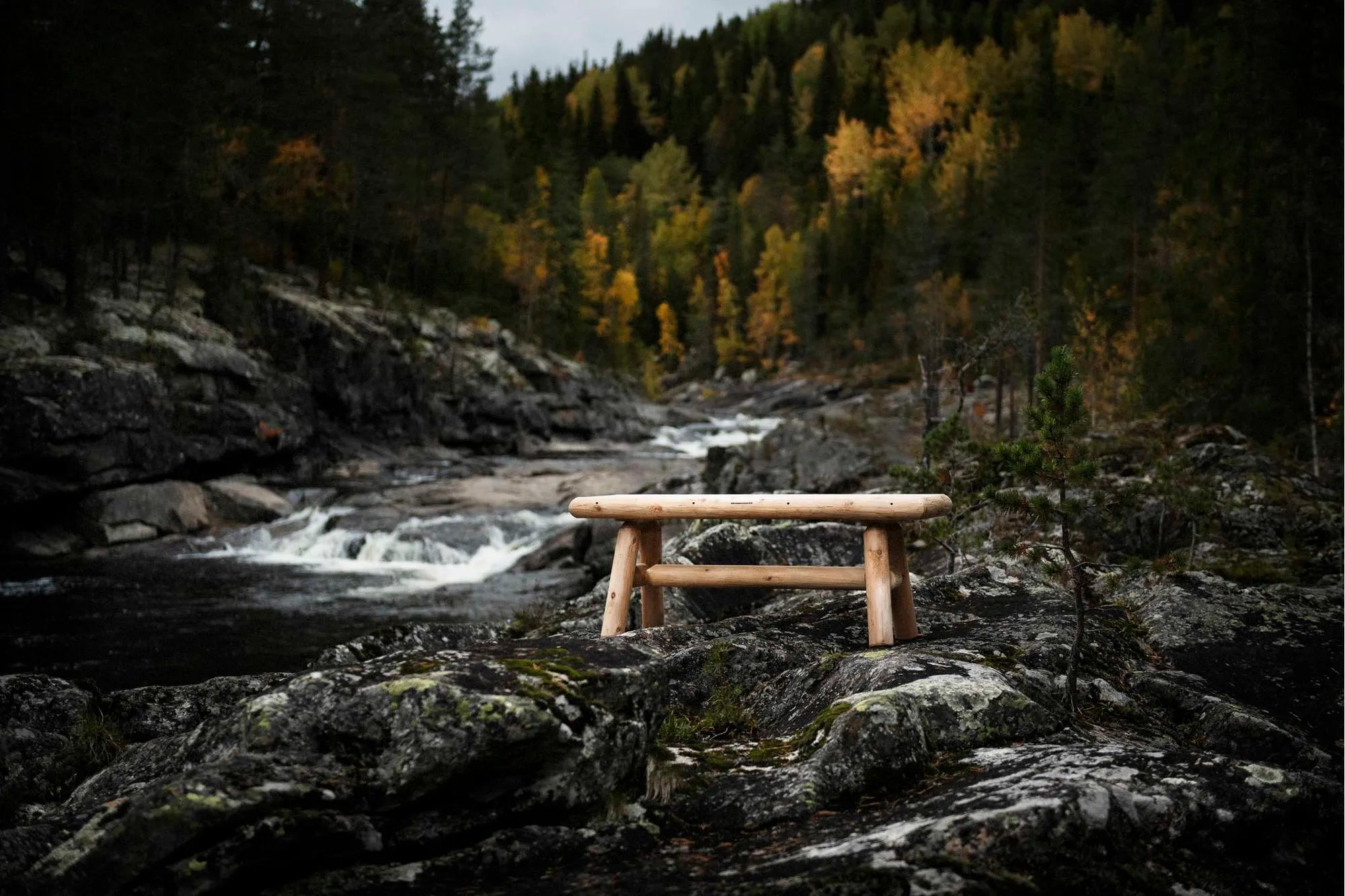 2510-CO-env-autumn-21