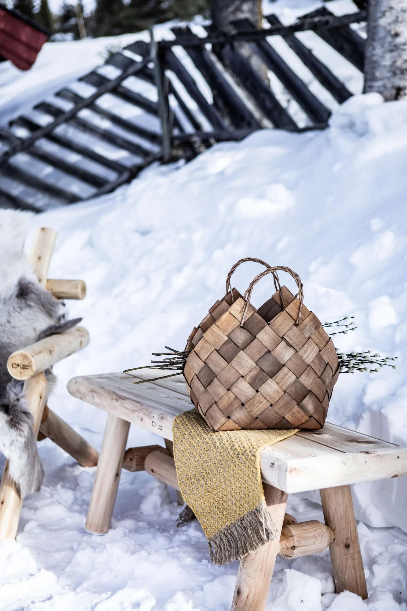 2510-CO-env-winter-65