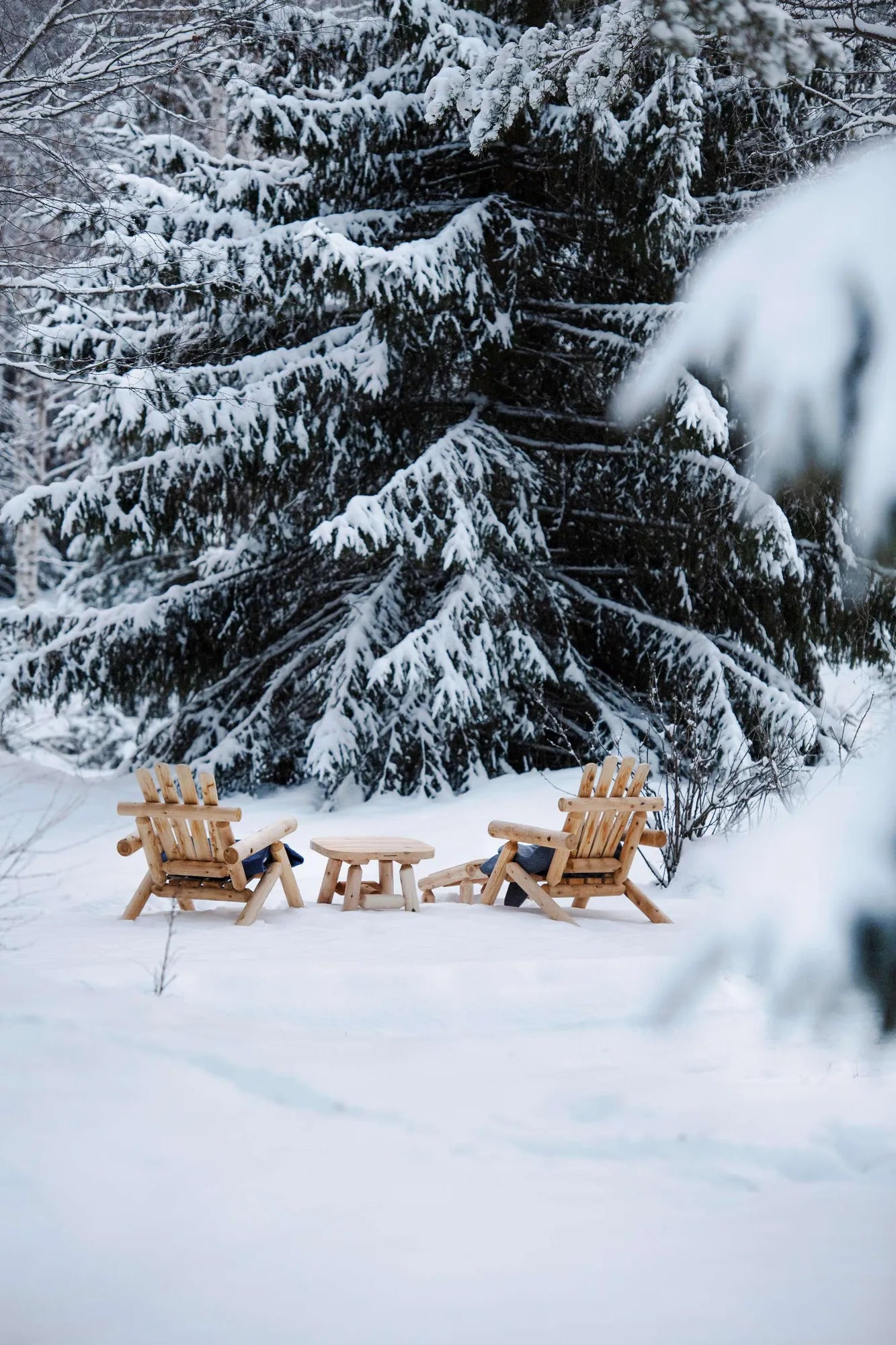 2520-CO-env-winter-3