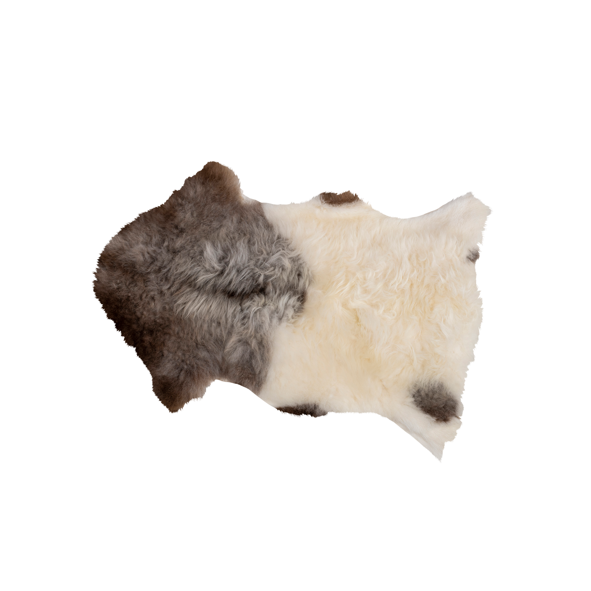 Fårskinn tibetanskt bergsfår
