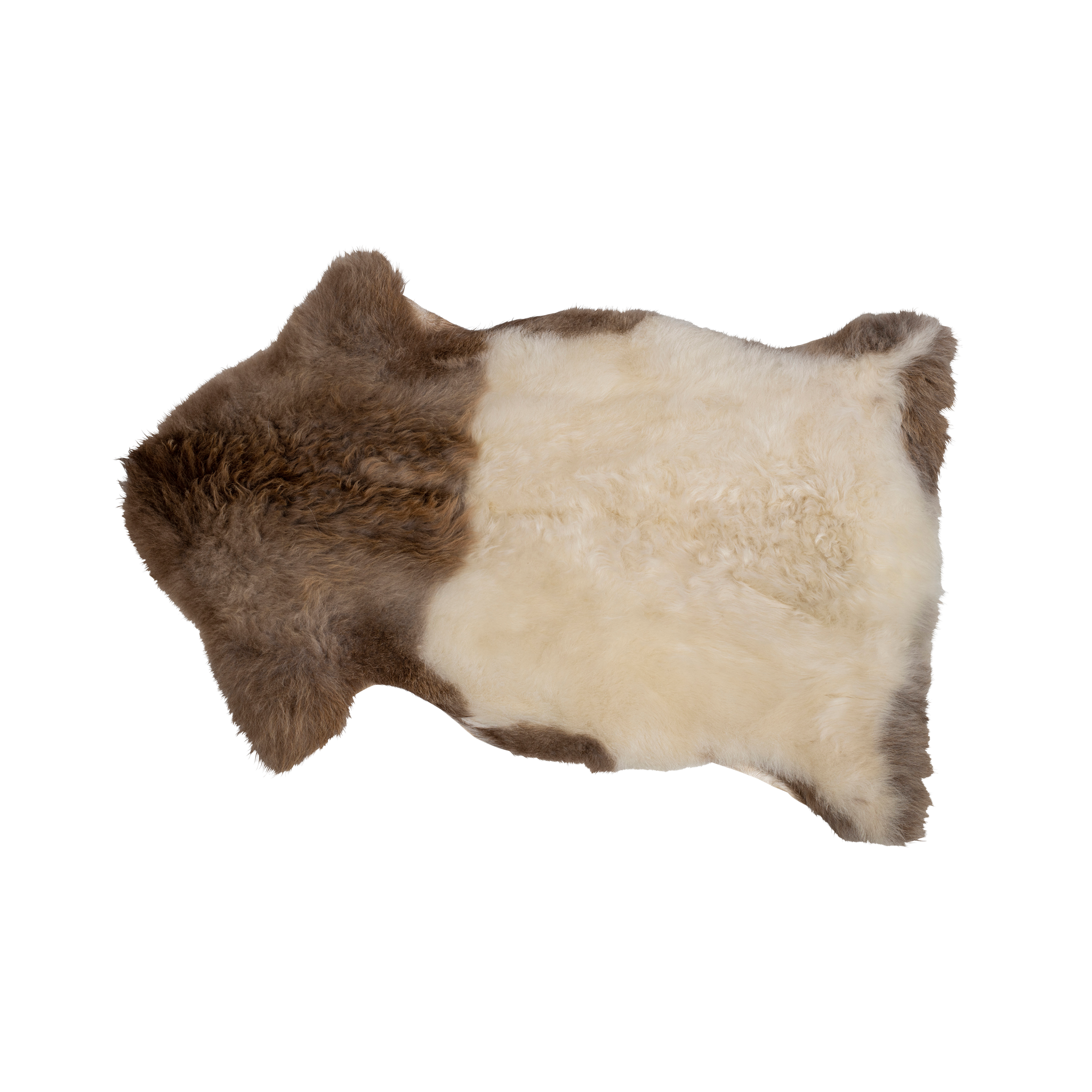 Fårskinn tibetanskt bergsfår