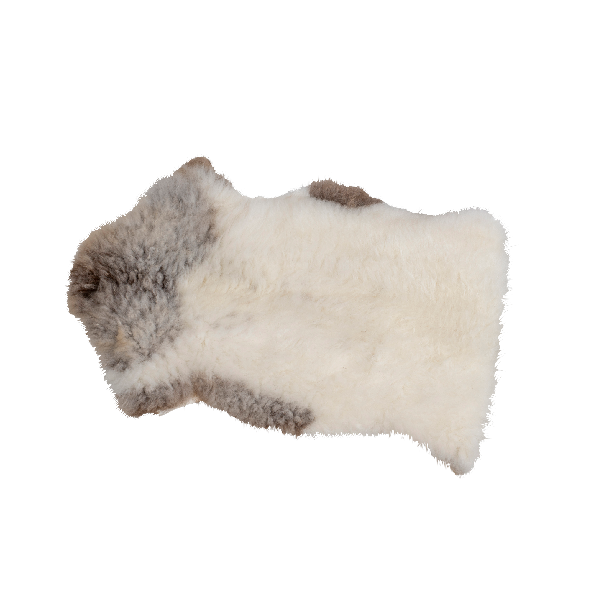 Fårskinn tibetanskt bergsfår