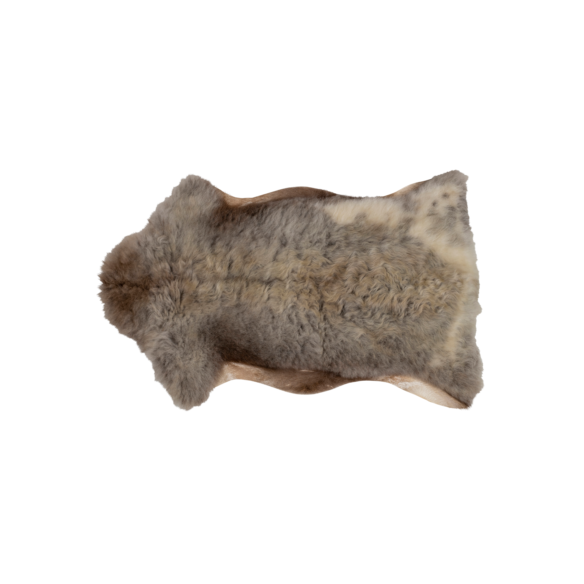 Fårskinn tibetanskt bergsfår