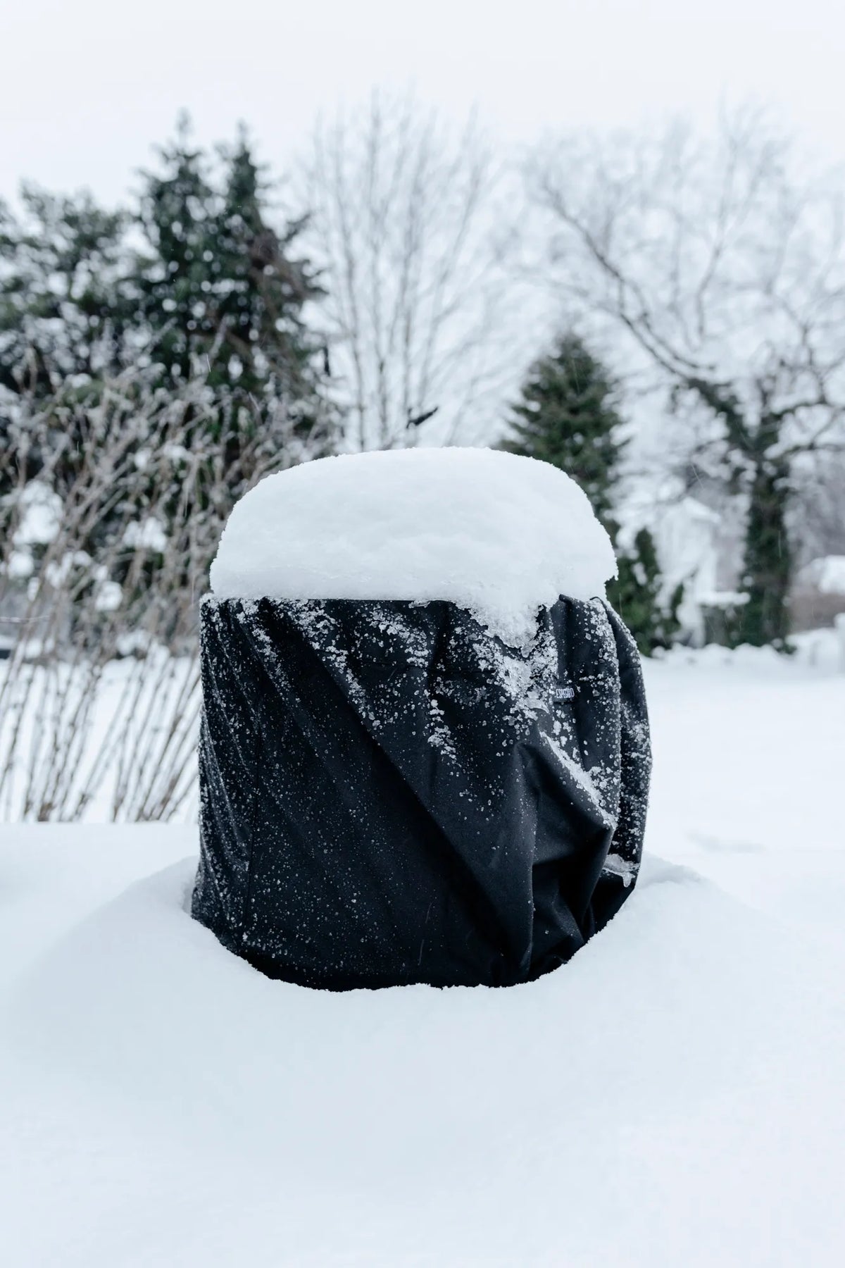 7787-env-winter-WEB-1