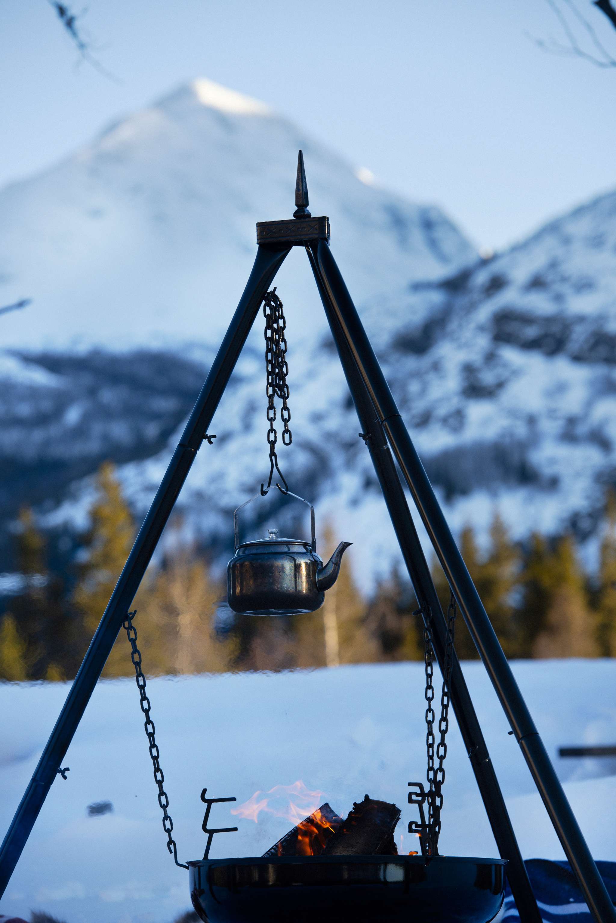 Suspension chain with double hook